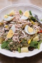 Tuna Salad with boiledegg Royalty Free Stock Photo