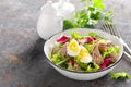 Tuna salad in bowl. Mediterranean food. Fresh salad with canned tuna fish. Healthy diet food Royalty Free Stock Photo