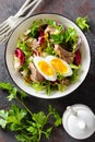 Tuna salad in bowl. Mediterranean food. Fresh salad with canned tuna fish. Healthy diet food Royalty Free Stock Photo