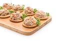 tuna salad with cracker Royalty Free Stock Photo