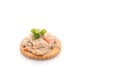 tuna salad with cracker Royalty Free Stock Photo