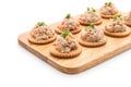 tuna salad with cracker Royalty Free Stock Photo
