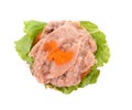 Tuna salad with cracker on white background Royalty Free Stock Photo