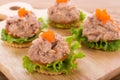 Tuna salad with cracker on wooden background Royalty Free Stock Photo