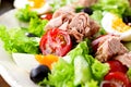 Tuna salad with lettuce, eggs and tomatoes on dark wooden table