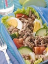 Tuna Salad Lunch Box Royalty Free Stock Photo