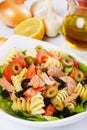 Tuna salad with pasta, green and black olives Royalty Free Stock Photo