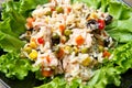 Tuna salad with rice and vegetables Royalty Free Stock Photo