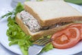 Tuna salad sandwich Royalty Free Stock Photo