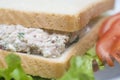 Tuna salad sandwich Royalty Free Stock Photo