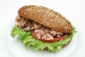 Tuna salad sandwich Royalty Free Stock Photo