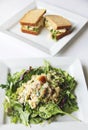 Tuna salad and sandwich Royalty Free Stock Photo