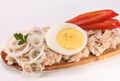 Tuna salad sandwich Royalty Free Stock Photo