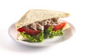 Tuna Salad Sandwich with Tomato and Lettuce Isolated on a White Background Royalty Free Stock Photo