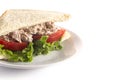 Tuna Salad Sandwich with Tomato and Lettuce Isolated on a White Background Royalty Free Stock Photo