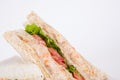 tuna salad sandwich Royalty Free Stock Photo