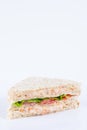 tuna salad sandwich Royalty Free Stock Photo