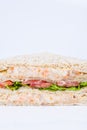 tuna salad sandwich Royalty Free Stock Photo