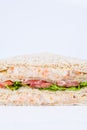 tuna salad sandwich Royalty Free Stock Photo