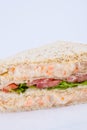 tuna salad sandwich Royalty Free Stock Photo