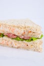 tuna salad sandwich Royalty Free Stock Photo