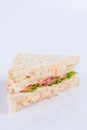 tuna salad sandwich Royalty Free Stock Photo