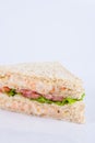 tuna salad sandwich Royalty Free Stock Photo