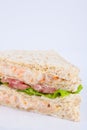 tuna salad sandwich Royalty Free Stock Photo