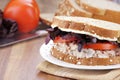 Tuna Salad Sandwich on Whole Grain Bread Royalty Free Stock Photo