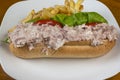 tuna salad sub with a side of fries