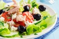 Tuna salad Royalty Free Stock Photo