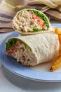 Tuna Salad Wrap Sandwich Royalty Free Stock Photo