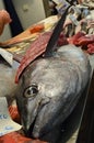 Tuna for sale at Cadiz fish Market