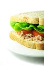 Tuna sandwich Royalty Free Stock Photo