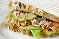 Tuna Sandwich Royalty Free Stock Photo