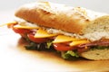 Tuna sandwich Royalty Free Stock Photo
