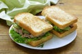 Tuna sandwich with fresh cucumber Royalty Free Stock Photo
