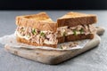 Tuna sandwich with mayo and vegetables on gray stone background Royalty Free Stock Photo