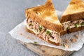 Tuna sandwich with mayo and vegetables on gray stone background Royalty Free Stock Photo