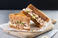 Tuna sandwich with mayo and vegetables on gray stone background Royalty Free Stock Photo