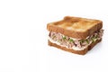 Tuna sandwich with mayo and vegetables isolated on whtie background Royalty Free Stock Photo