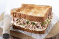 Tuna sandwich with mayo and vegetables on white marble Royalty Free Stock Photo