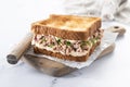 Tuna sandwich with vegetables on marble background Royalty Free Stock Photo