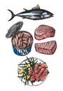 Tuna sketch vector illustration. Hand drawn set of pictures with fish.