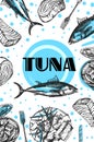 Tuna sketch vector illustration. Hand drawn set of pictures with fish. Food illusttration for menu of care.