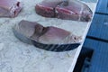 Tuna slices in a fish market Funchal, Madeira Royalty Free Stock Photo