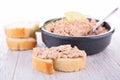 Tuna spread Royalty Free Stock Photo