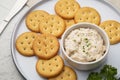 Tuna spread in white bowl with Butter cracker Royalty Free Stock Photo