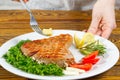 Tuna steak cooked on the electric grill. tunafish served on a plate with fresh herbs and vegetables. healthy nutritious