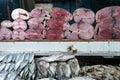 Tuna steaks and fish on display, at a fresh seafood market Royalty Free Stock Photo